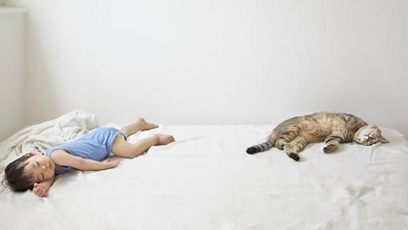 ¿Sabías que los bebés que viven con mascotas desarrollan menos alergias?