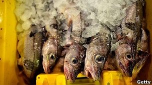 Argentina: en tierra de vacas, el pescado es rey  