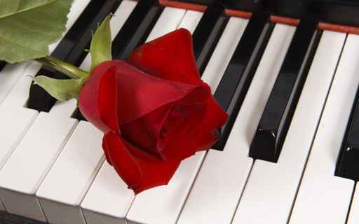 ACA LES DEJOS (PARA MI) LOS MEJORES TEMAS ROMANTICOS.