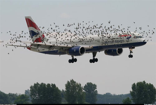 Porqué vuelan los aviones ?