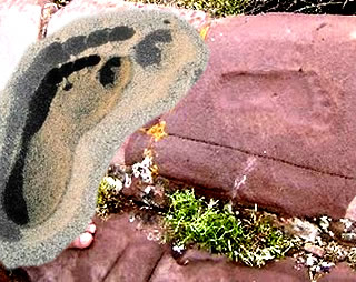 ¿LA HUELLA DEL HOMBRE MÁS ANTIGUO DEL MUNDO?