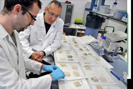 Alfombras biodegradables que se convierten en abono para plantas.