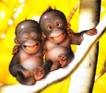 Día del amigo! La idea de celebrarlo es Argenta