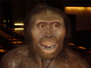 ¿Cuando comenzó el ser humano a caminar?