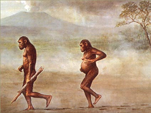 ¿Cuándo comenzamos a caminar ¨a dos patas¨?