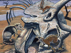  El último dinosaurio antes del meteorito.