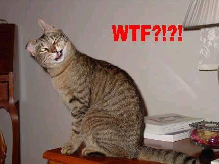 Noticias insólitas (muy insólitas) :P