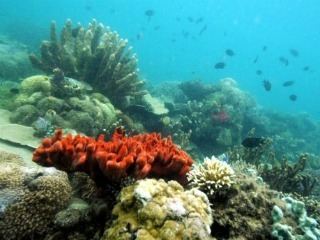 El metano fue el que causó la extinción masiva al final del Triásico y no los volcanes.