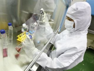 Desestiman en EE.UU. demanda contra investigación con células madre.