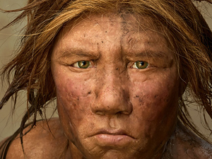 Hallan un esqueleto casi completo de una hembra neandertal en Murcia.