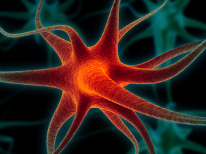 ¿De qué depende tener buena o mala memoria? 