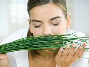 El hambre agudiza el olfato.