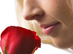 El olor y el dolor están relacionados.