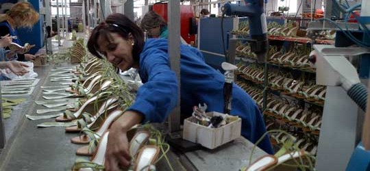 La Argentina logró ubicarse entre los 10 principales productores de calzado del mundo