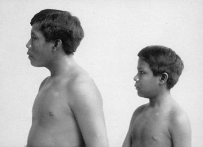 Un misterio sin resolver. Los esclavos de la fiebre del caucho.