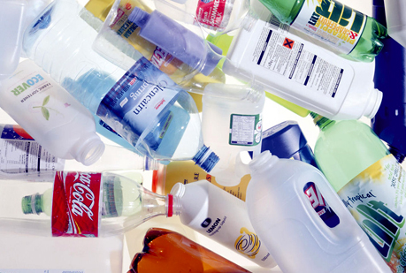 Un hongo que recicla el plástico.