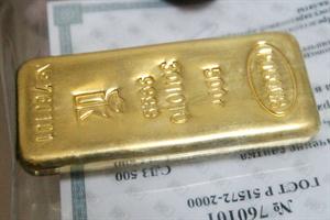 Avance de investigadores Argentinos : crean una bacteria genéticamente modificada para detectar oro