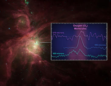 Un viaje por el universo molecular.