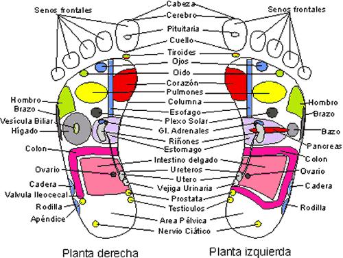Reflexología