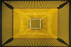IBM: Nuevo chip imitará al cerebro humano.