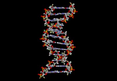 Científicos Argentinos desarrollan técnica innovadora para detectar linajes aborígenes en muestras de ADN