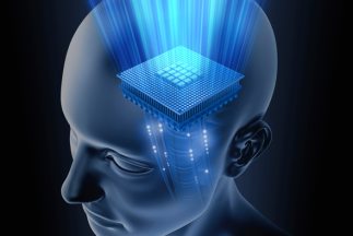 IBM desarrolla un chip que imita el cerebro humano
