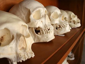 Los rostros de hombres y mujeres se parecen cada vez más.