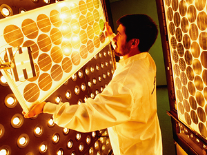 La energía que viene.