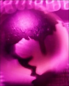 Los algoritmos que controlan nuestro mundo  