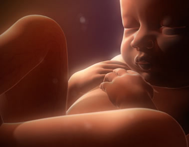 Un invento argentino facilita el parto.