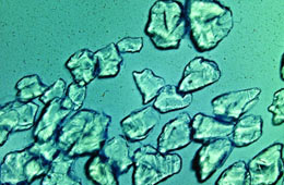 Científicos Argentinos crean nanogeles capaces de descontaminar el agua