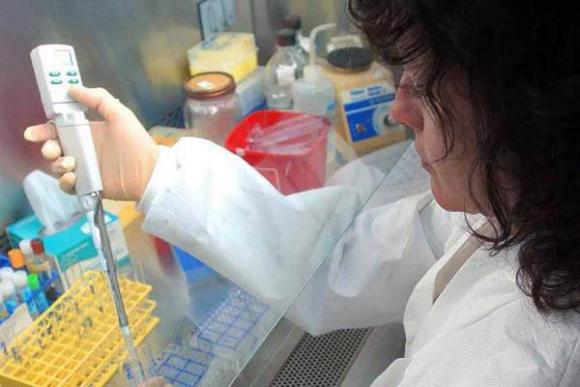 Científicos dan importante paso para posibles tratamientos contra la malaria.