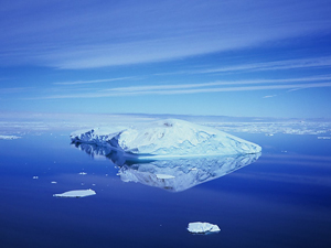 Muestras recogidas en 1901 por el capitán Scott ayudan a estudiar el cambio climático.