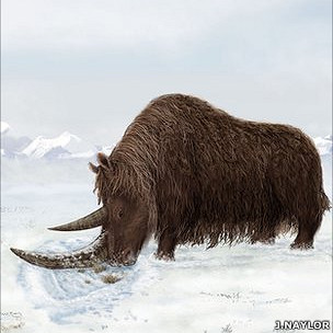 Descubren al rinoceronte lanudo ¨más antiguo¨