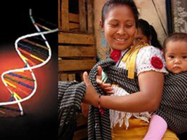 Genoma indígena es clave en diabetes y obesidad.