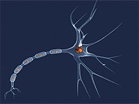 Científicos brasileños descubren posible cura para esquizofrénicos.