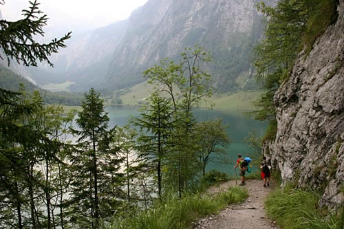 Insólito: El chico que salió del bosque tras vivir 5 años en él