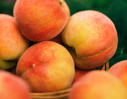 Dieta pobre puede resultar más perjudicial que los pesticidas.