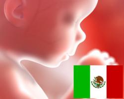 50 ONGs piden a Corte Suprema no ir contra reformas que blindan vida ante aborto en México