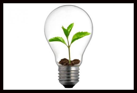 Usar bombillos de luz solar preserva el medio ambiente