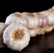 Descubren porque comer ajo es muy saludable