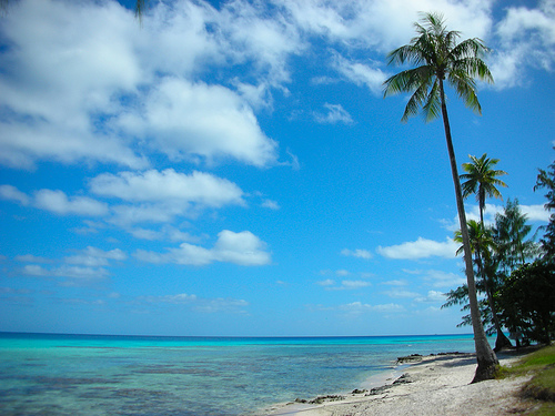 Rangiroa, un paraíso en la polinesia.
