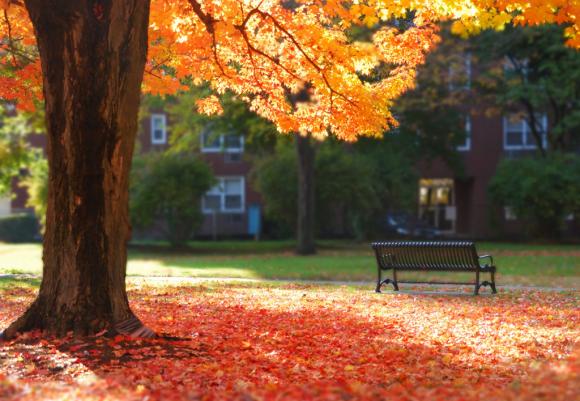 Anochecer de Un Dia Agitado