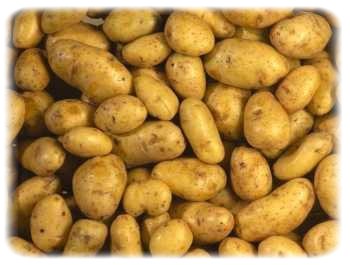 Cientificos Argentinos , y de otros paises , descifran el genoma de la papa‏