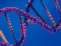 Un dispositivo para vivir hasta los 150 años