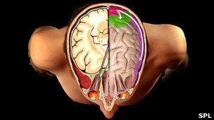¿Qué % del cerebro humano se usa?