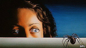 ¿De dónde vienen las fobias?