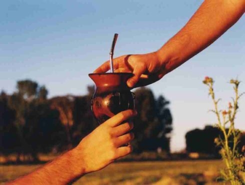 Estudio de cientificos Argentinos revela que el mate baja el colesterol