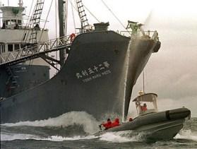 Japón y ecologistas se preparan para una batalla en alta mar