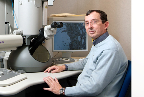 ¨Podremos solucionar cualquier tipo de problema cerebral gracias a las células madre¨